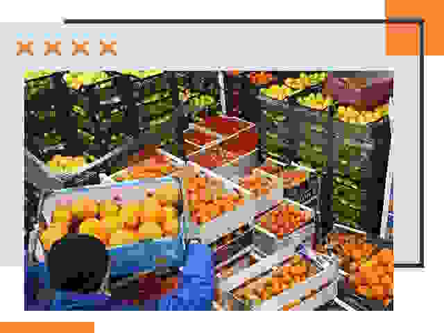 Перевозка скоропортящихся продуктов в Канаше